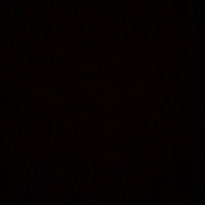 Meet your Posher, Lizzie